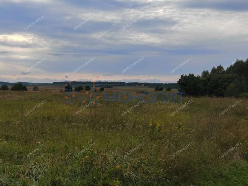 земельный участок 1 090 соток - деревня Ионовка